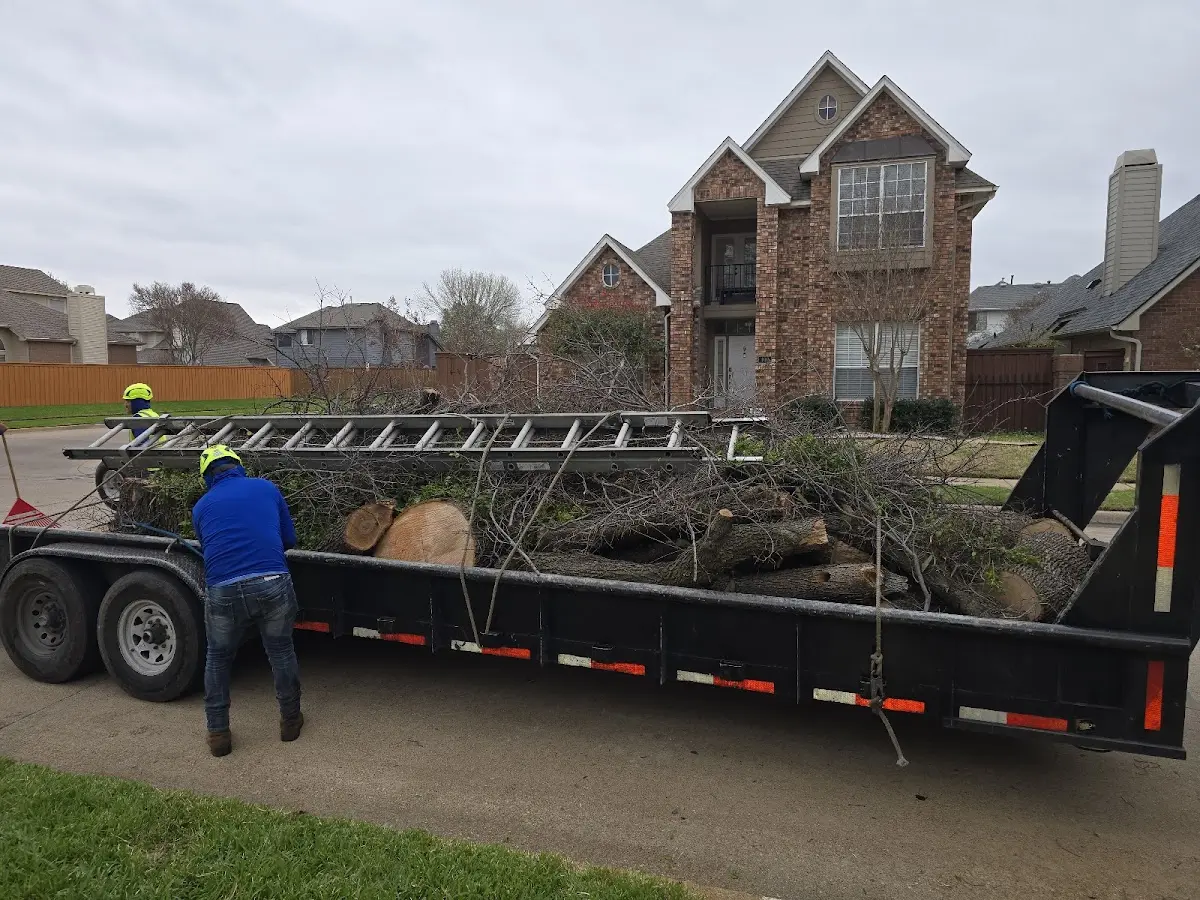 Expert Lot Clearing with proper safety equipment in Frankfort